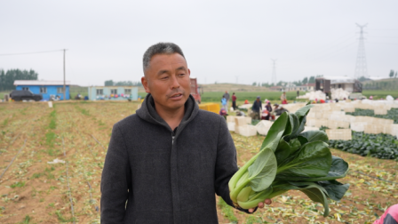 一肥六效，鲁花花生肽肥的化肥替代之路 ——在田间地头实地探访鲁花花生肽肥六大“超能力”