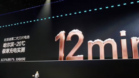 -20℃极寒不打折！比亚迪二代刀片电池10车充电实测：最快仅需10分29秒
